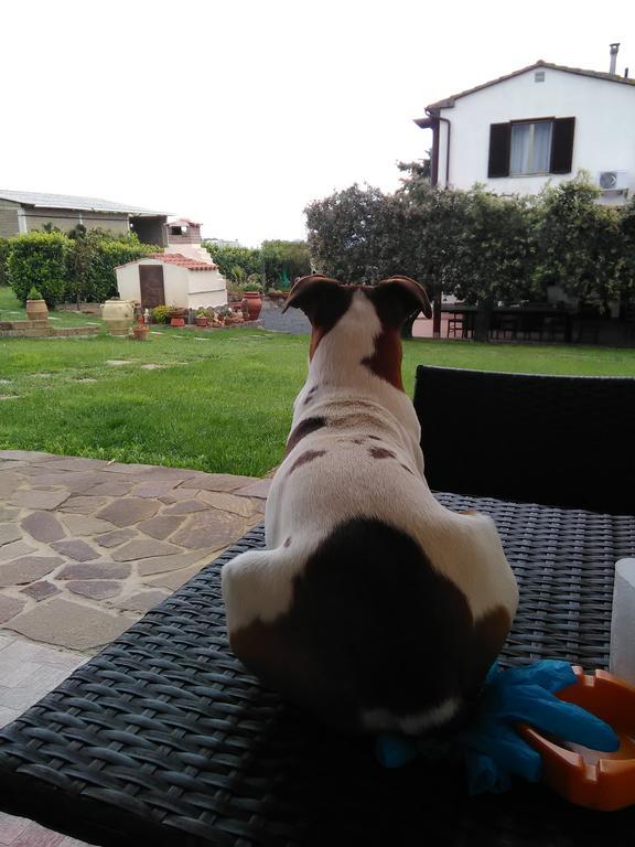 Agriturismo Valbona Villa Castiglione della Pescaia Buitenkant foto